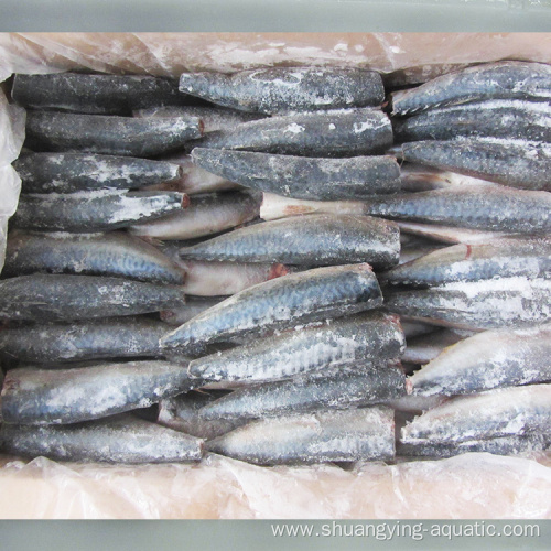 Frozen 150g Hgt Pacific Mackerel Fish Iqf